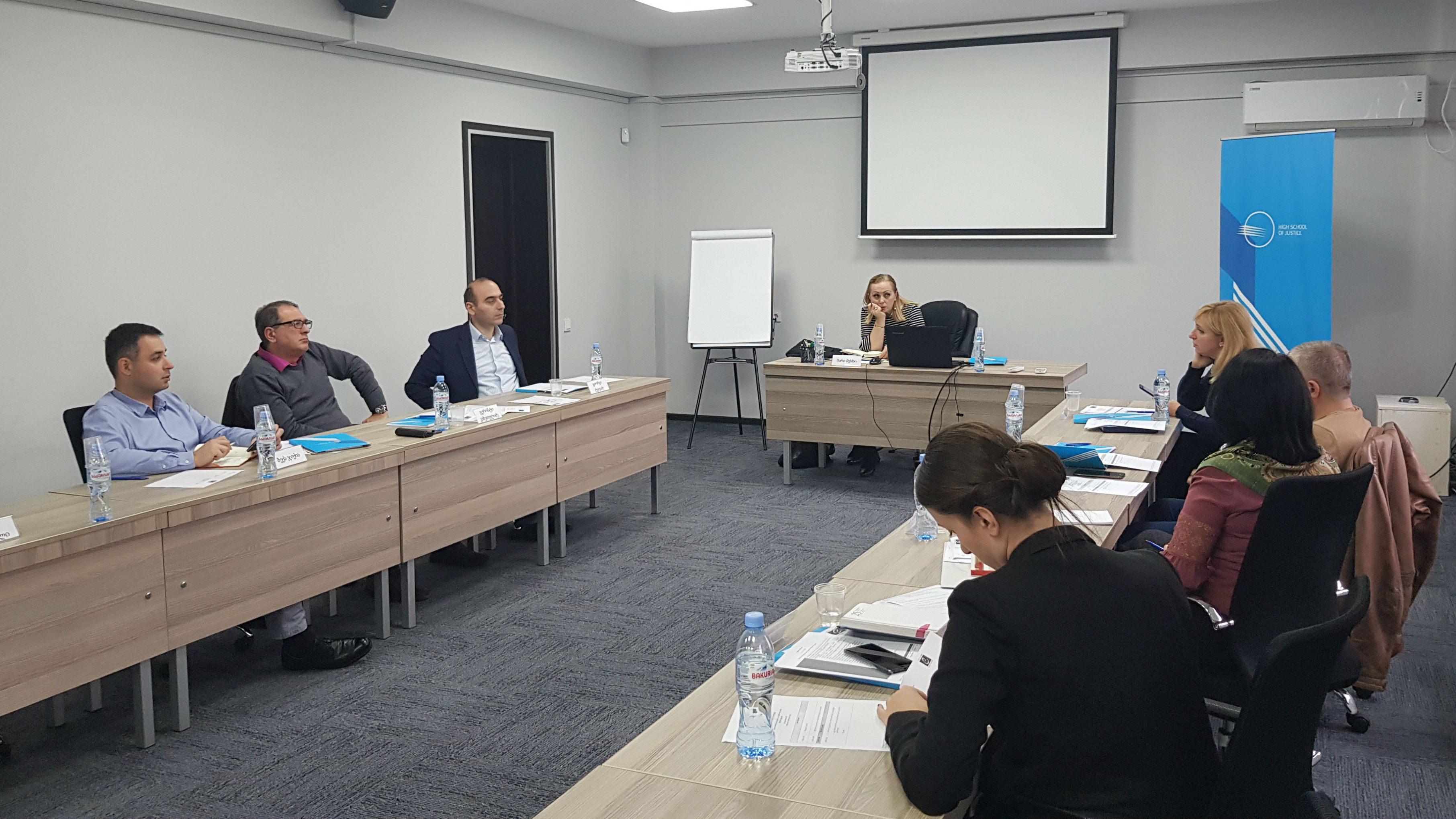 Strengthening the Capacity of the High School of Justice of Georgia Project: Training Needs Assessment for the development of the Module on Violence Against Women and Domestic Violence